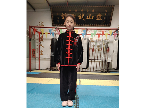 孙文欣九世传人